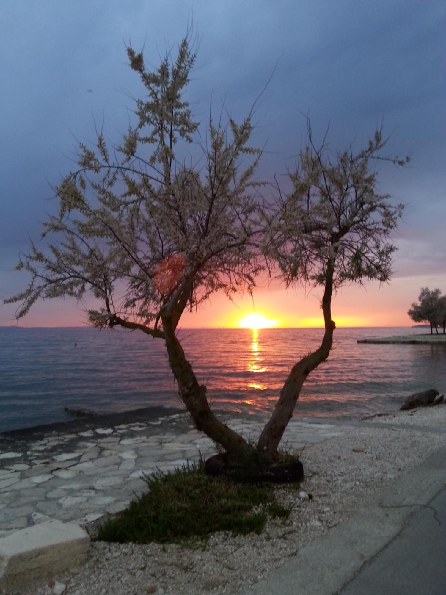 Apartmani Basioli Zadar Bagian luar foto
